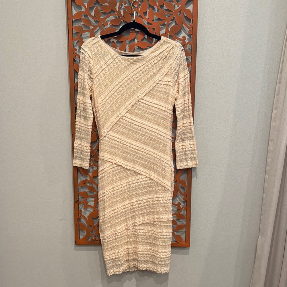 Lace revival! EUC, Long Sleeve fitted lacy dress
